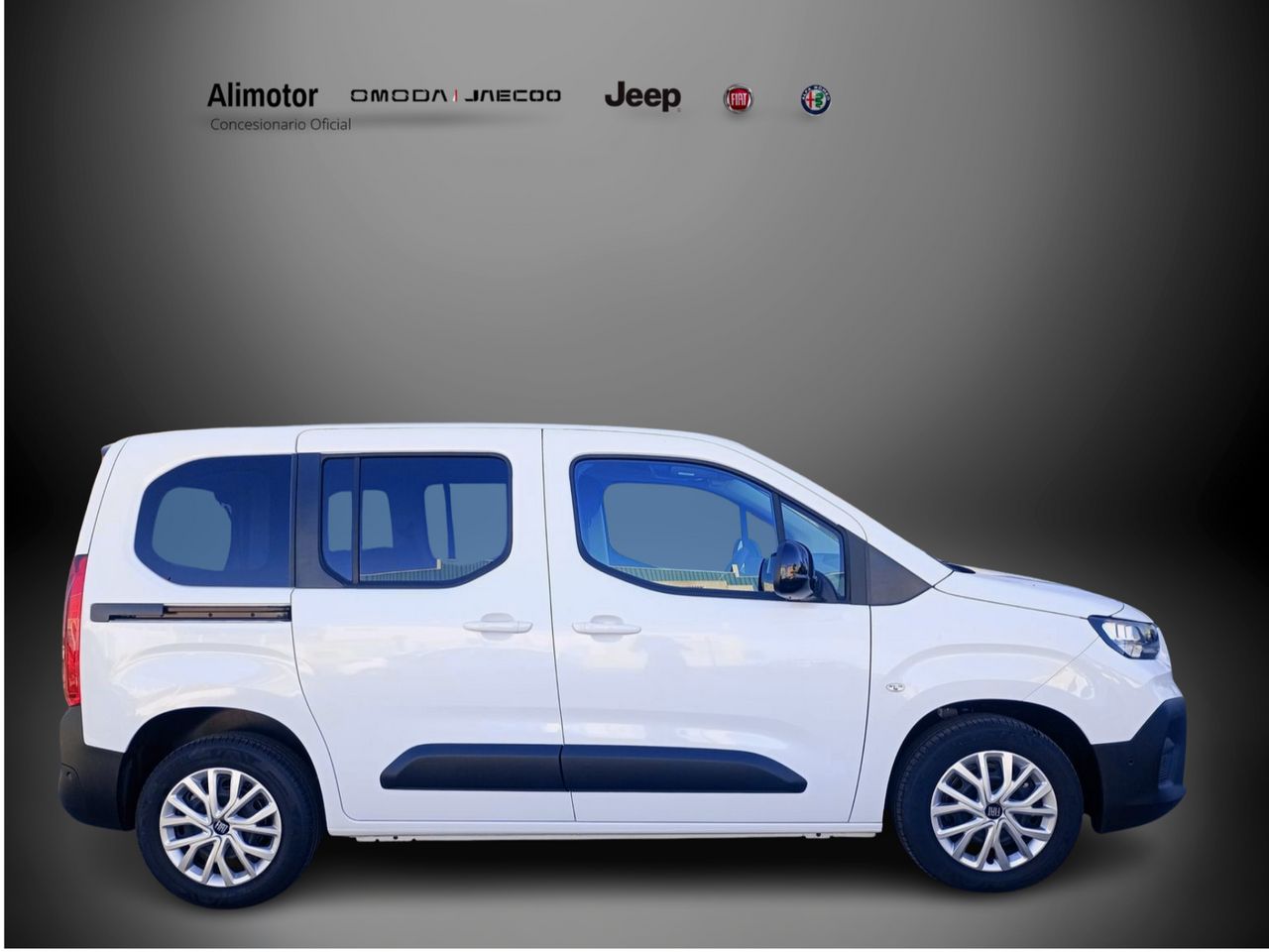 Foto Fiat Doblo 6