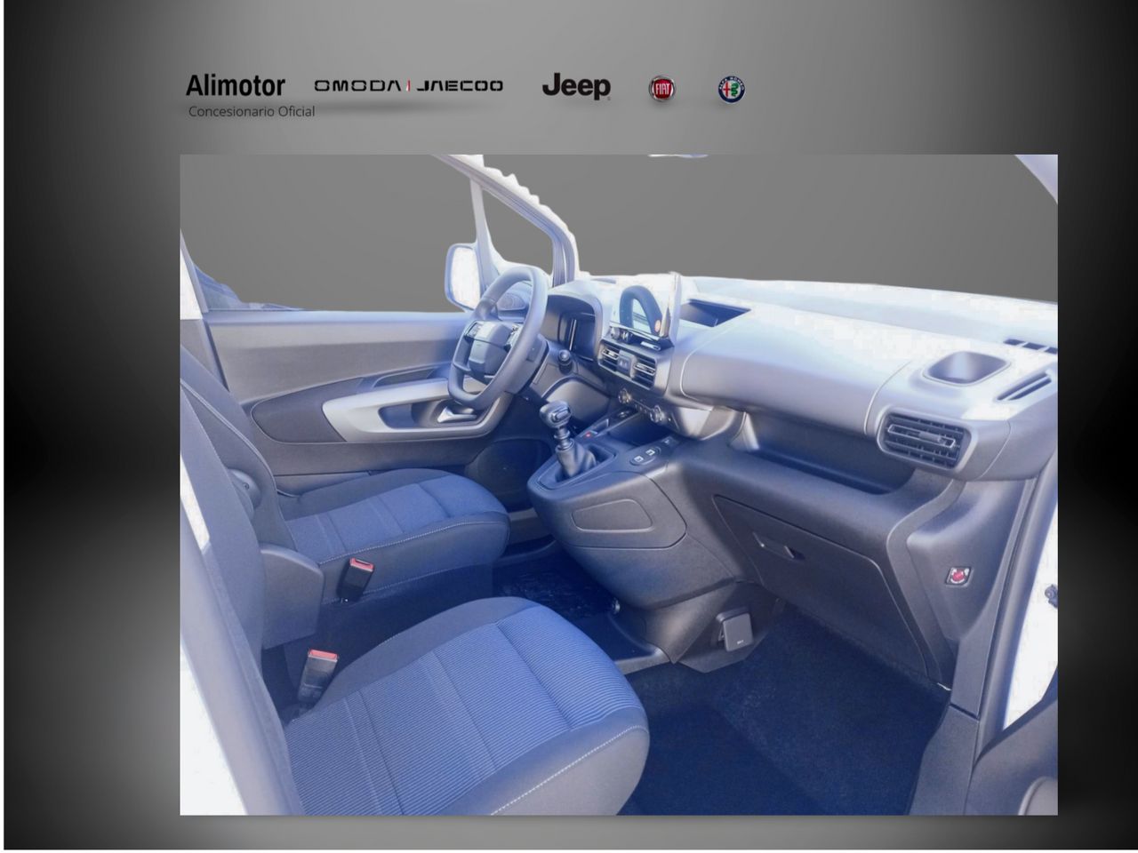 Foto Fiat Doblo 11