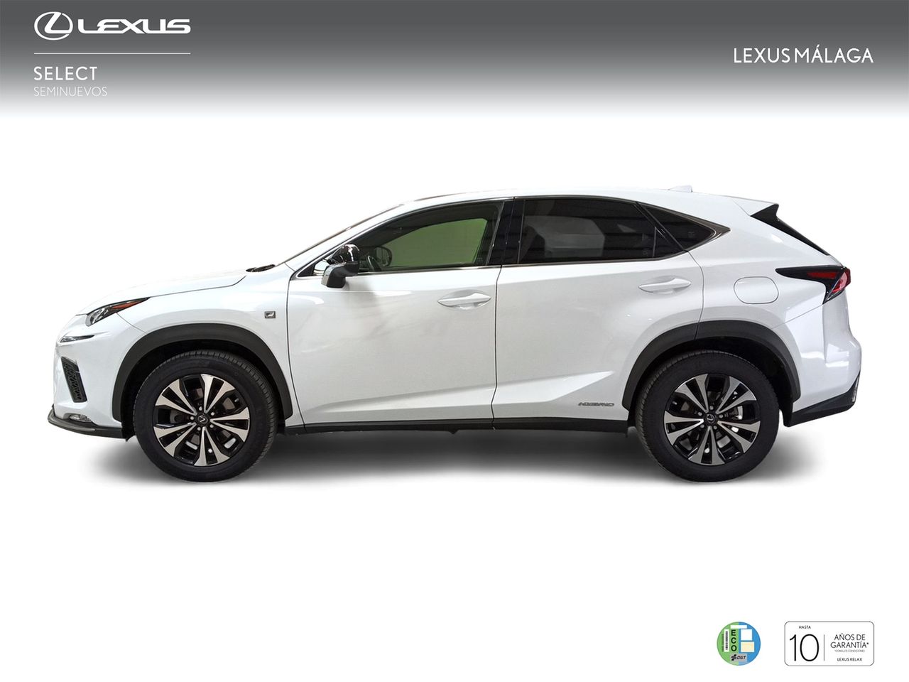 Foto Lexus NX 3