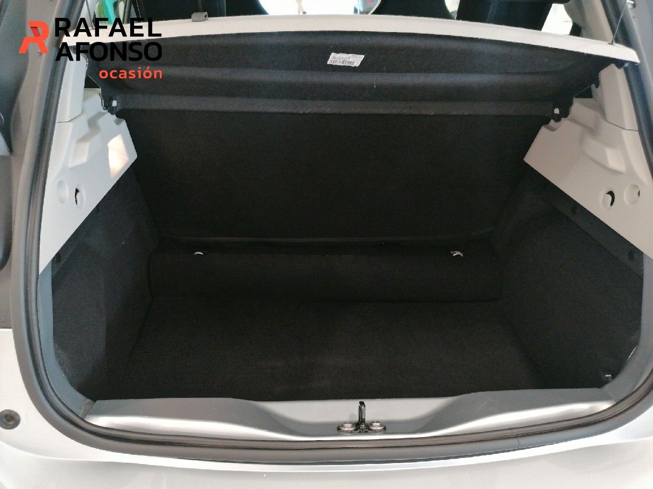 Foto Renault Zoe 9