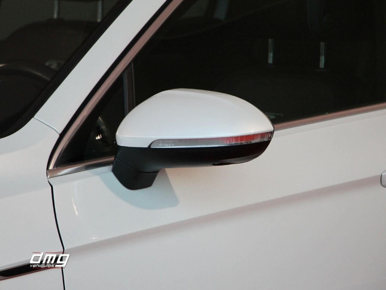 Foto Volkswagen Passat 43