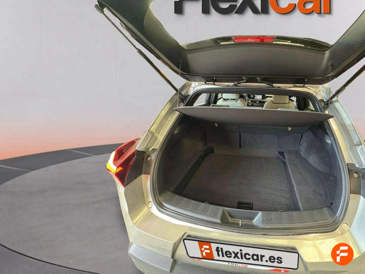 Foto Lexus UX 10