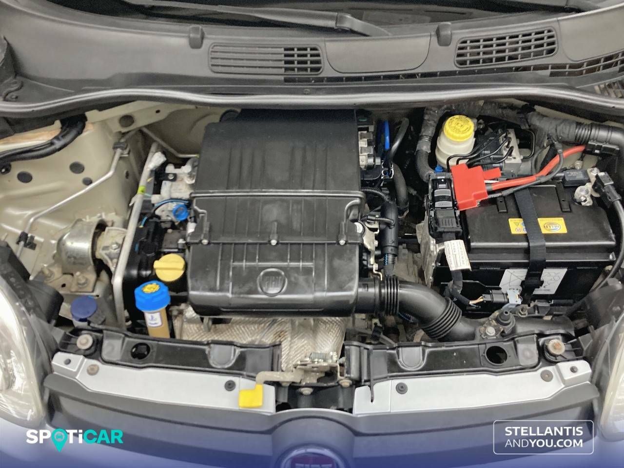 Foto Fiat Panda 21