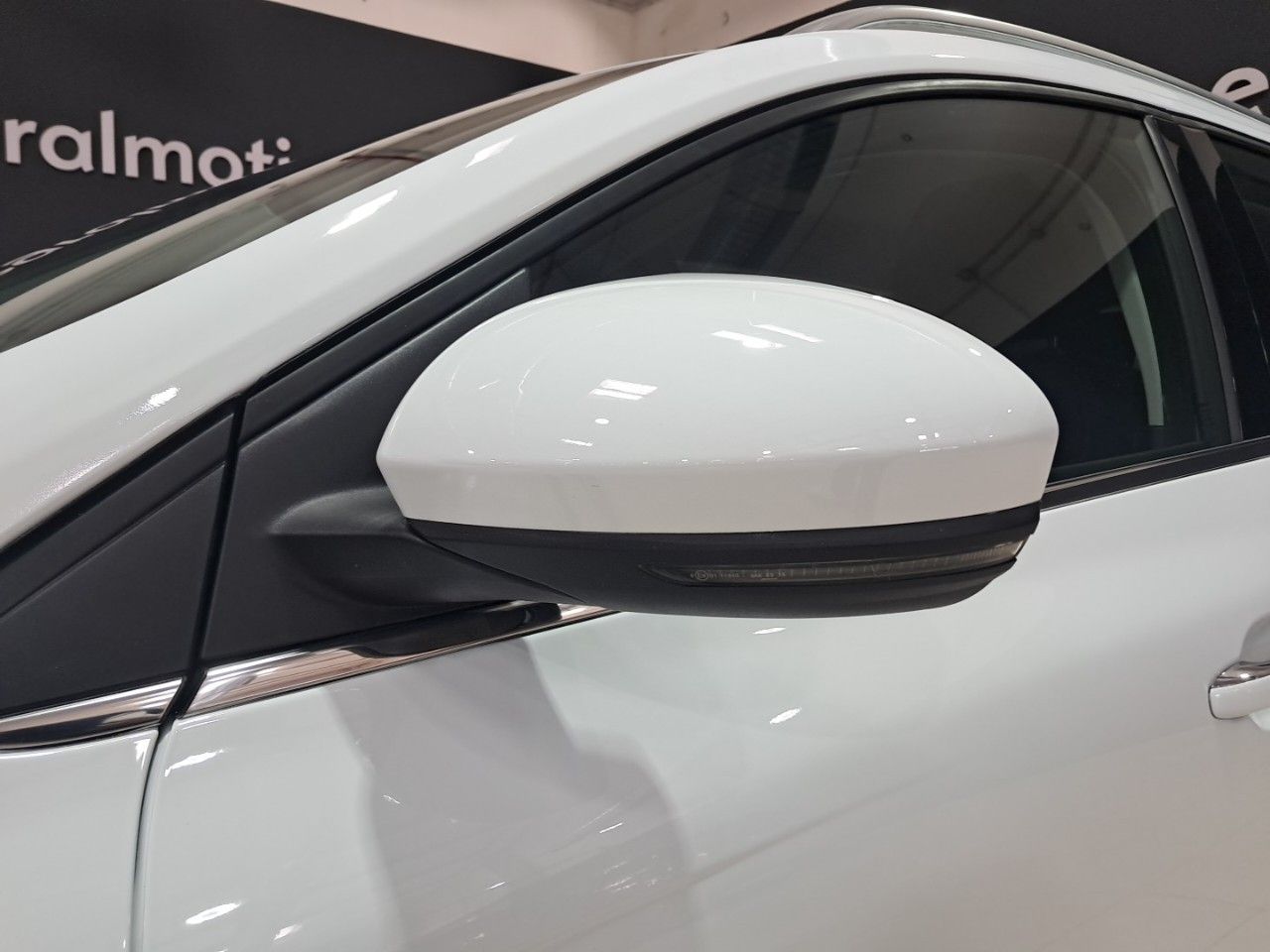 Foto Renault Mégane 31