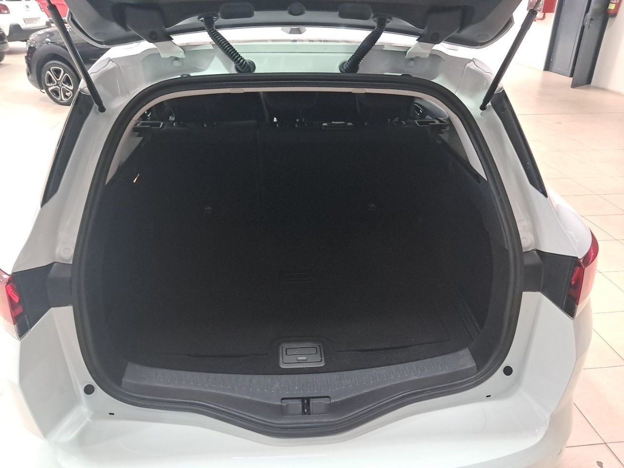 Foto Renault Mégane 30