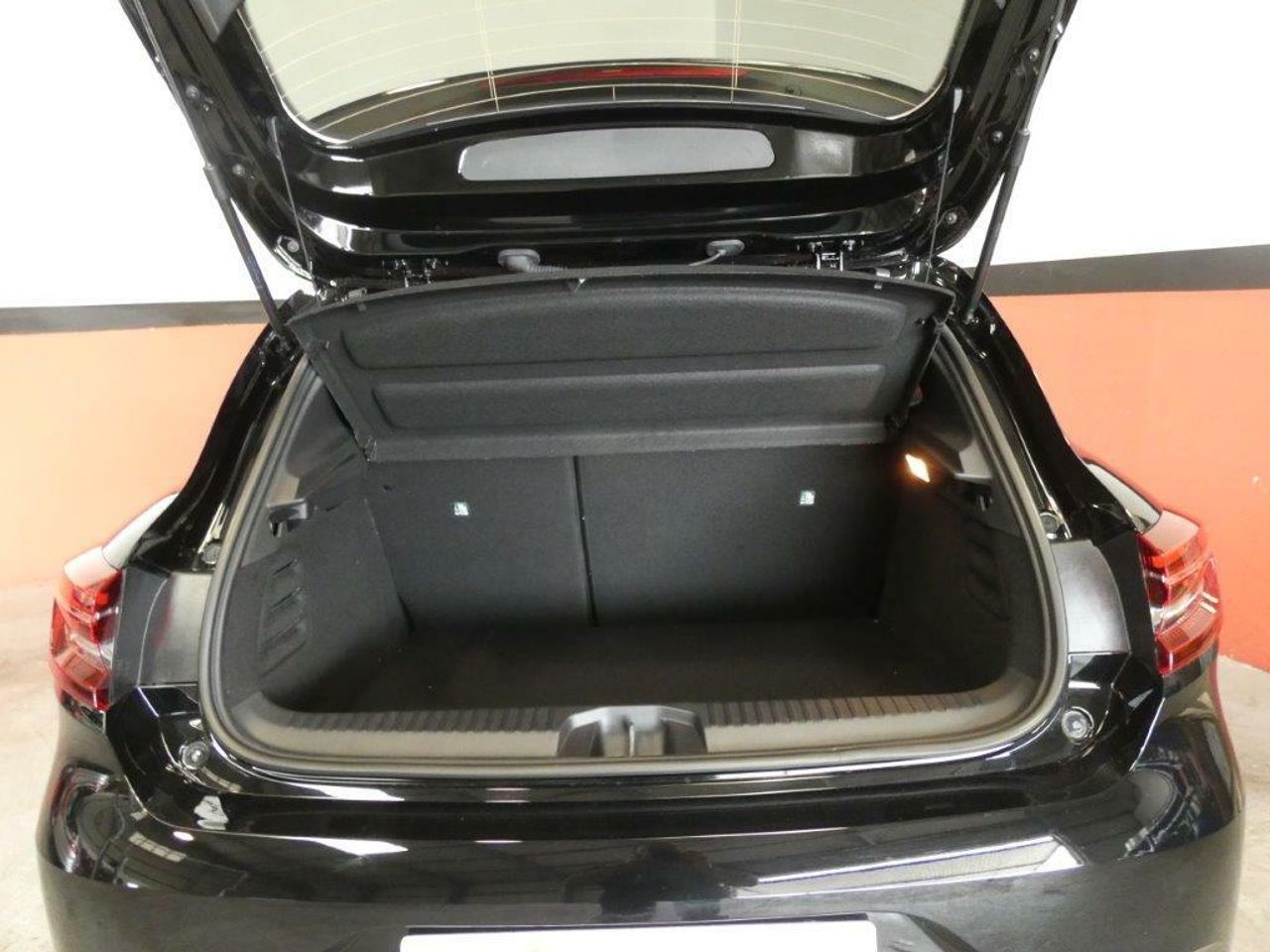 Foto Renault Clio 16
