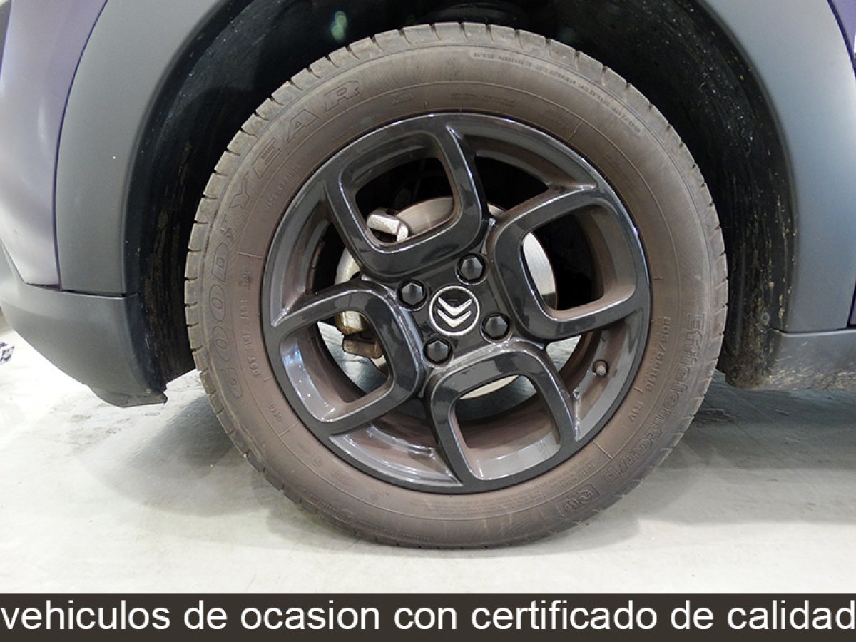 Foto Citroën C4 Cactus 23